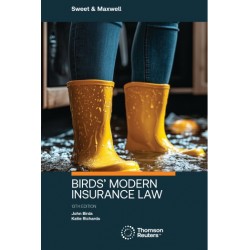Birds' Modern Insurance Law 13th ed