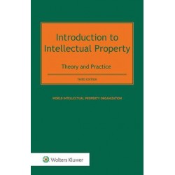 Introduction to Intellectual Property: Theory and Practice 3rd ed