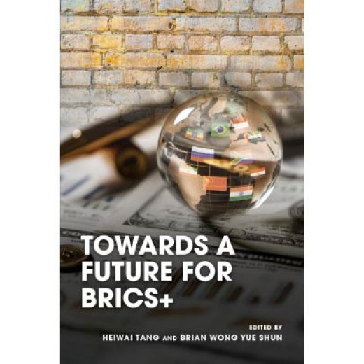 Towards a Future for BRICS+ Towards a Future for BRICS+